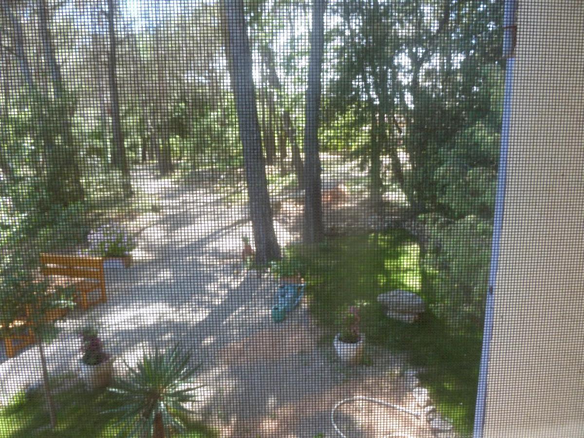 Villa Les Oliviers Draguignan Exterior photo